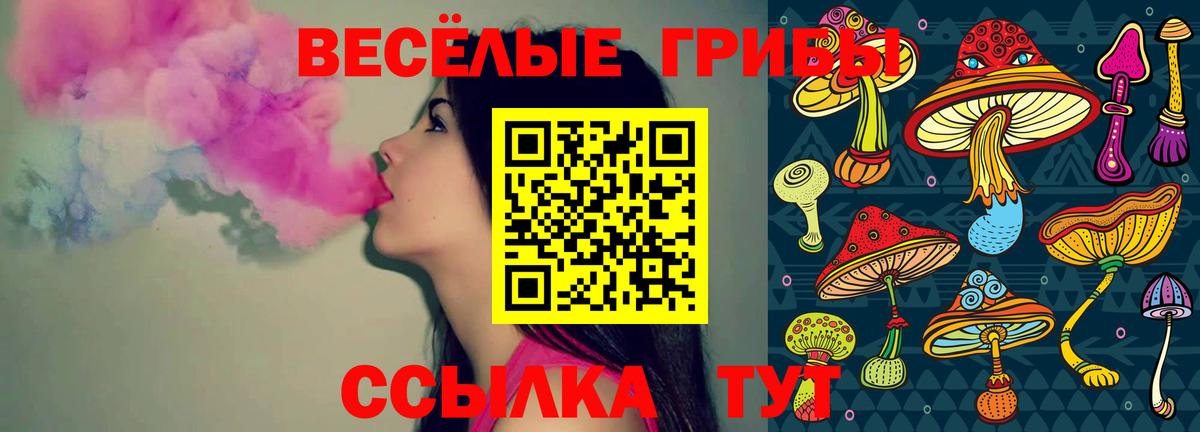 Псилоцибиновые грибы мицелий Тверь